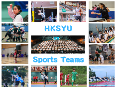 Sports Team (15 × 12 厘米)