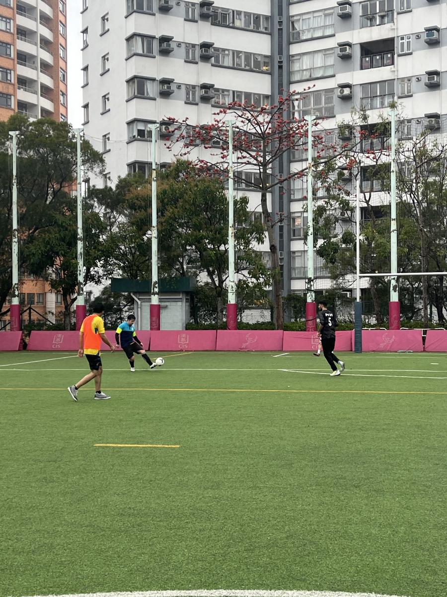 IMG 3084